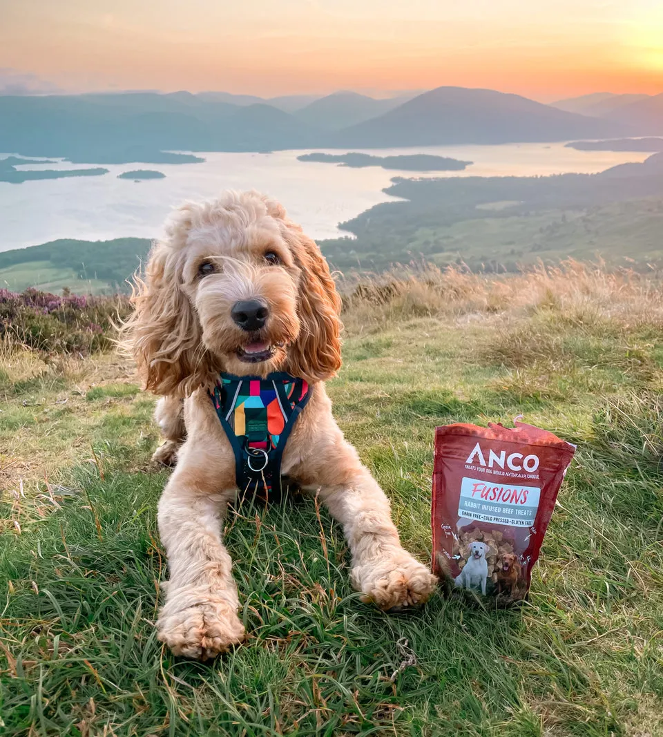 Anco Training Dog Treats- Beef & Rabbit Fusions