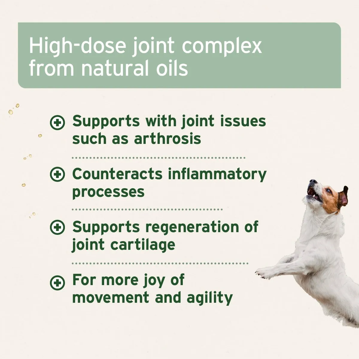 Aniforte® plus Arthro Omega Oil