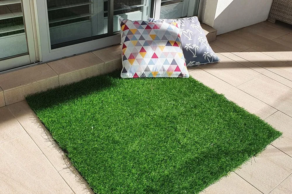 Artificial Cat Grass - 1.5m x 3m