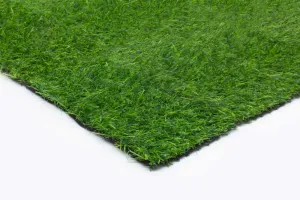 Artificial Cat Grass - 1.5m x 3m