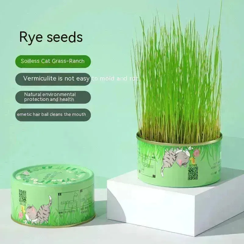 Cat Grass Cup Soilless Hydroponic Seed Spit Hair Ball Snacks