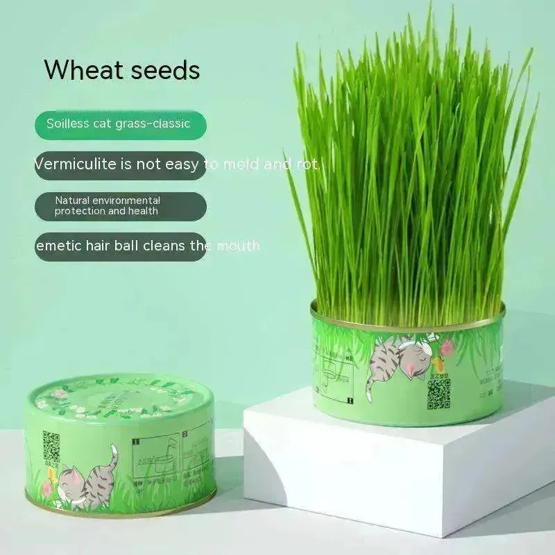 Cat Grass Cup Soilless Hydroponic Seed Spit Hair Ball Snacks