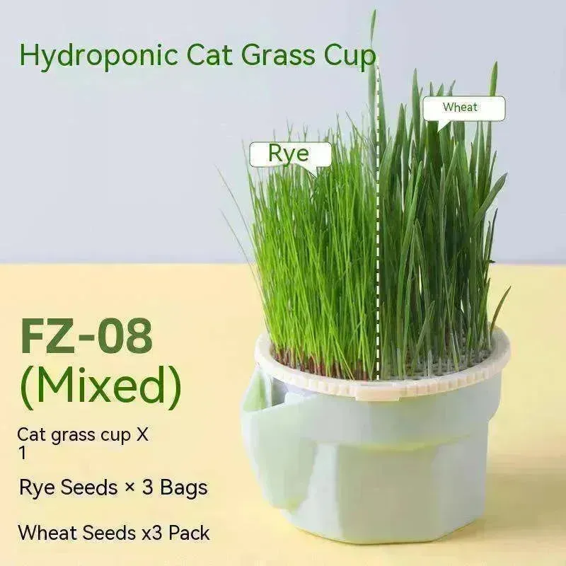 Cat Grass Cup Soilless Hydroponic Seed Spit Hair Ball Snacks