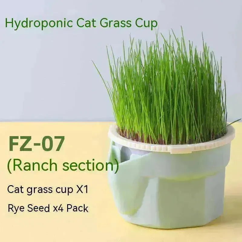 Cat Grass Cup Soilless Hydroponic Seed Spit Hair Ball Snacks