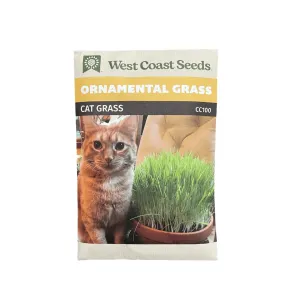 Cat Grass Ornamental Grasses | West Coast Seeds