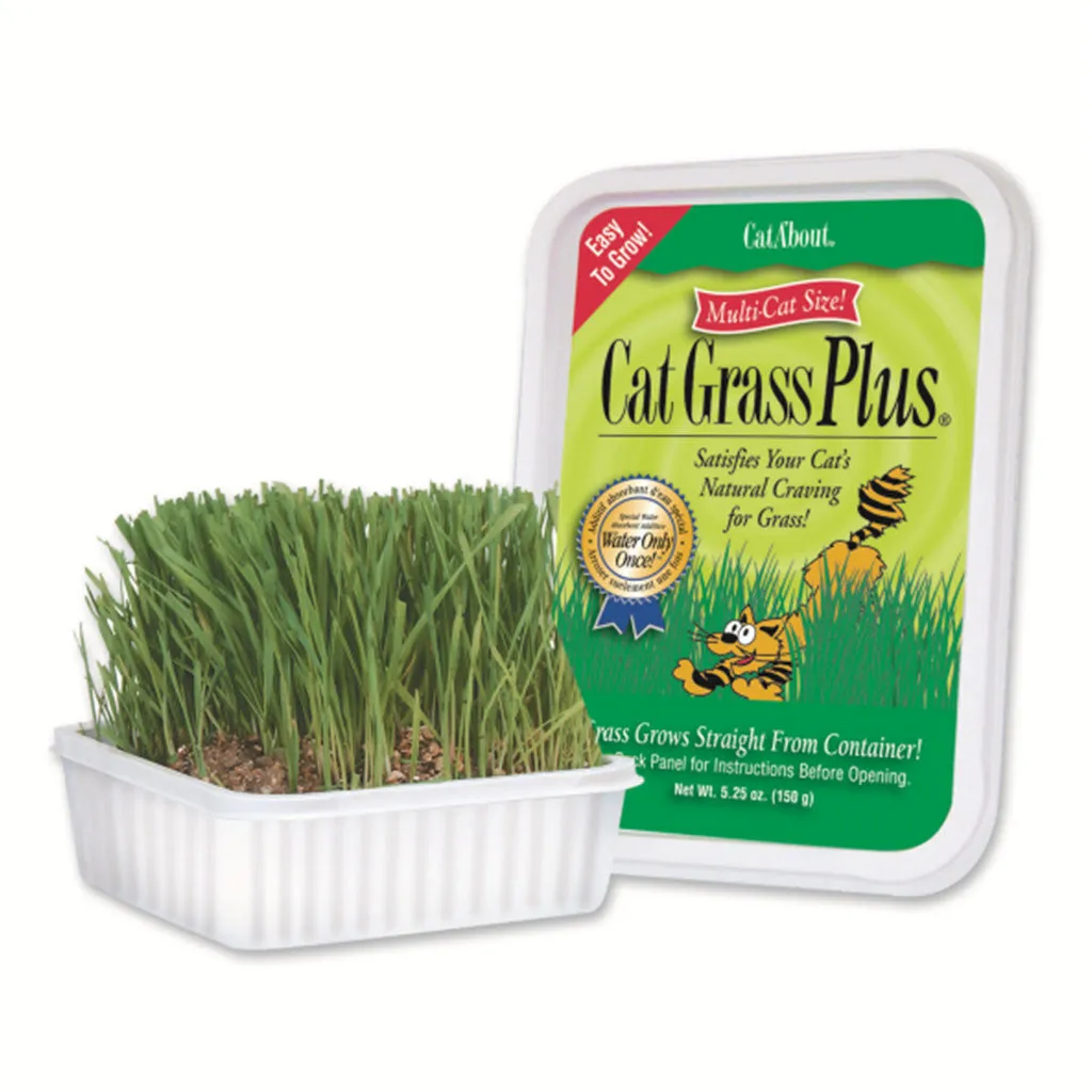 Cat Grass Plus