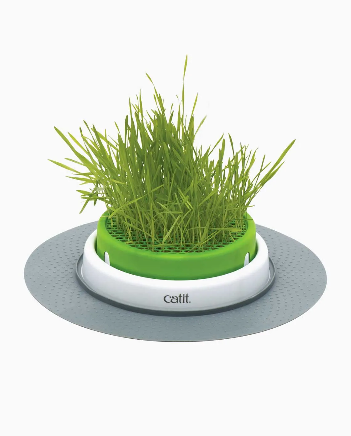 Catit 2.0 - Grass Planter   Grass Planter Refill