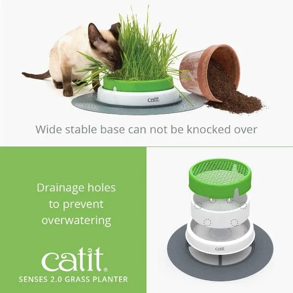 Catit Senses 2.0 Grass Planter