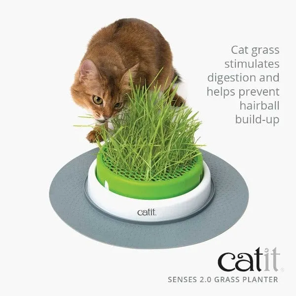 Catit Senses 2.0 Grass Planter