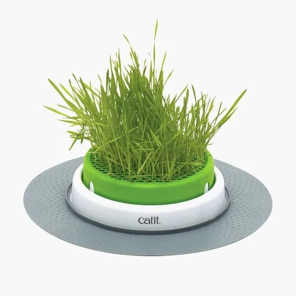 Catit Senses 2.0 Grass Planter