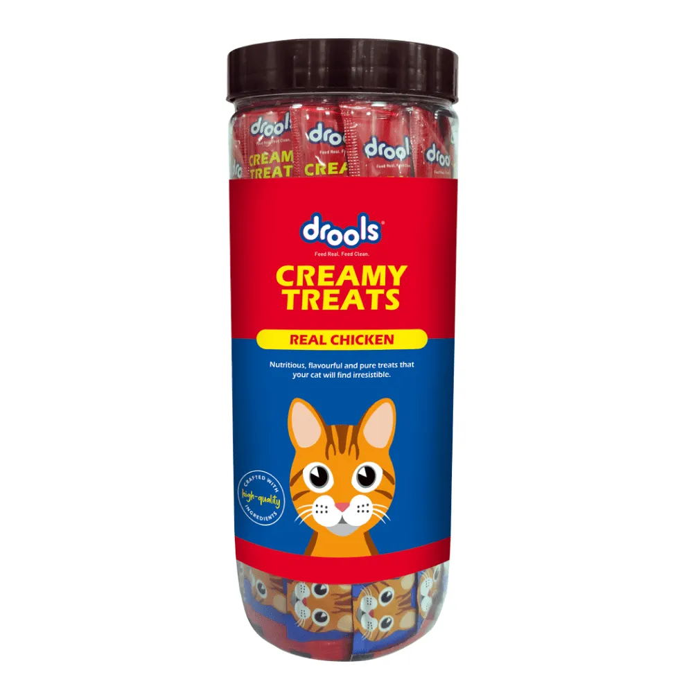 Drools Ocean Fish Adult Cat Dry Food and Real Chicken Creamy Cat Treats Combo