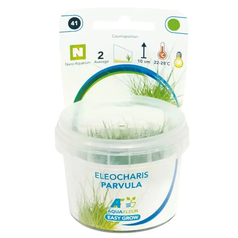 Easy Grow 41 - Eleocharis parvula