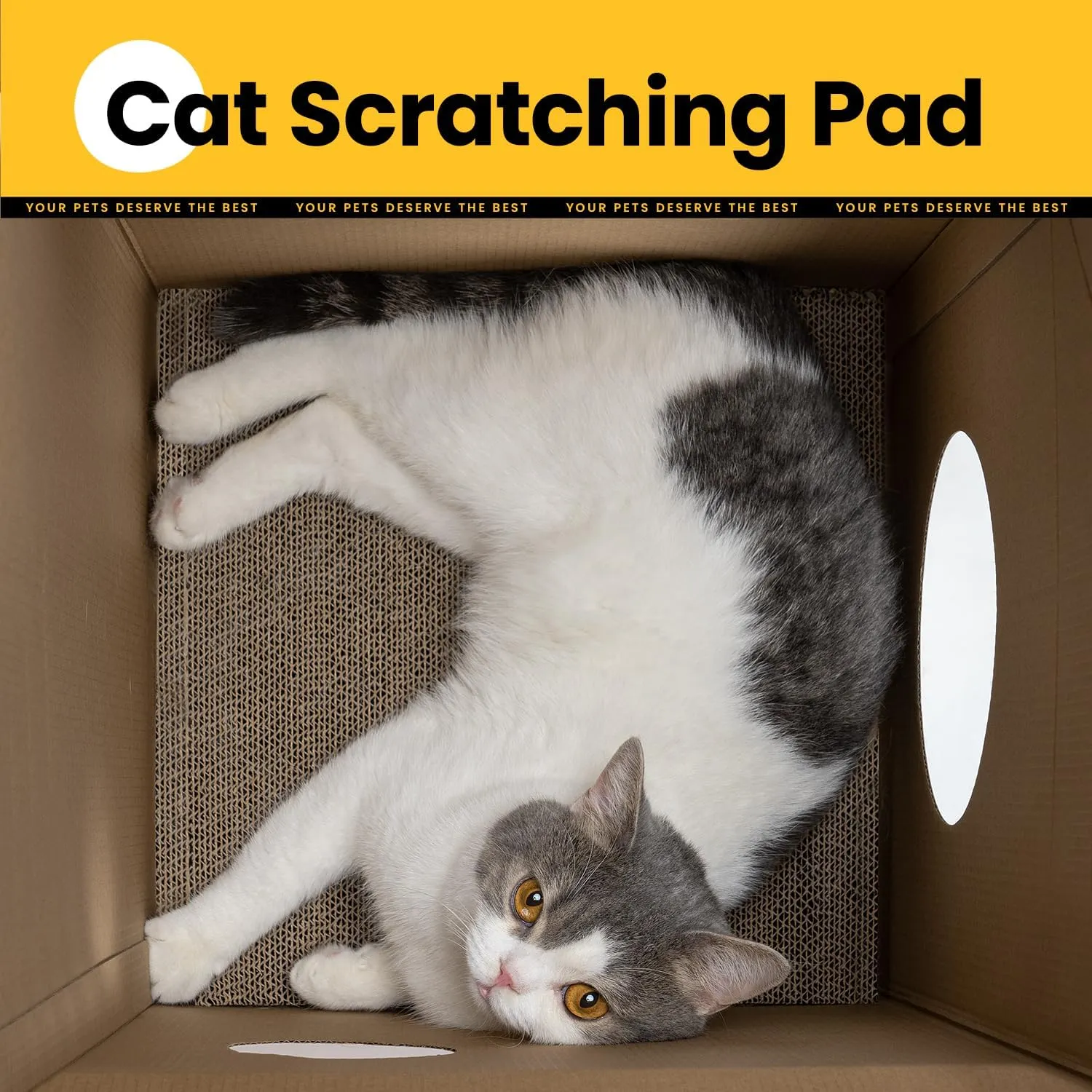 Easy-To-Assemble Cat Scratcher Cardboard House