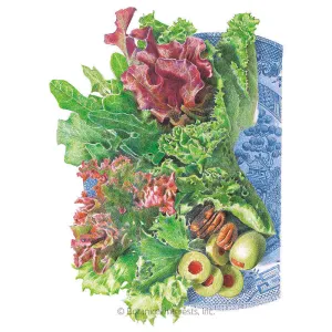 Farmer's Market Blend Mesclun Lettuce Seeds