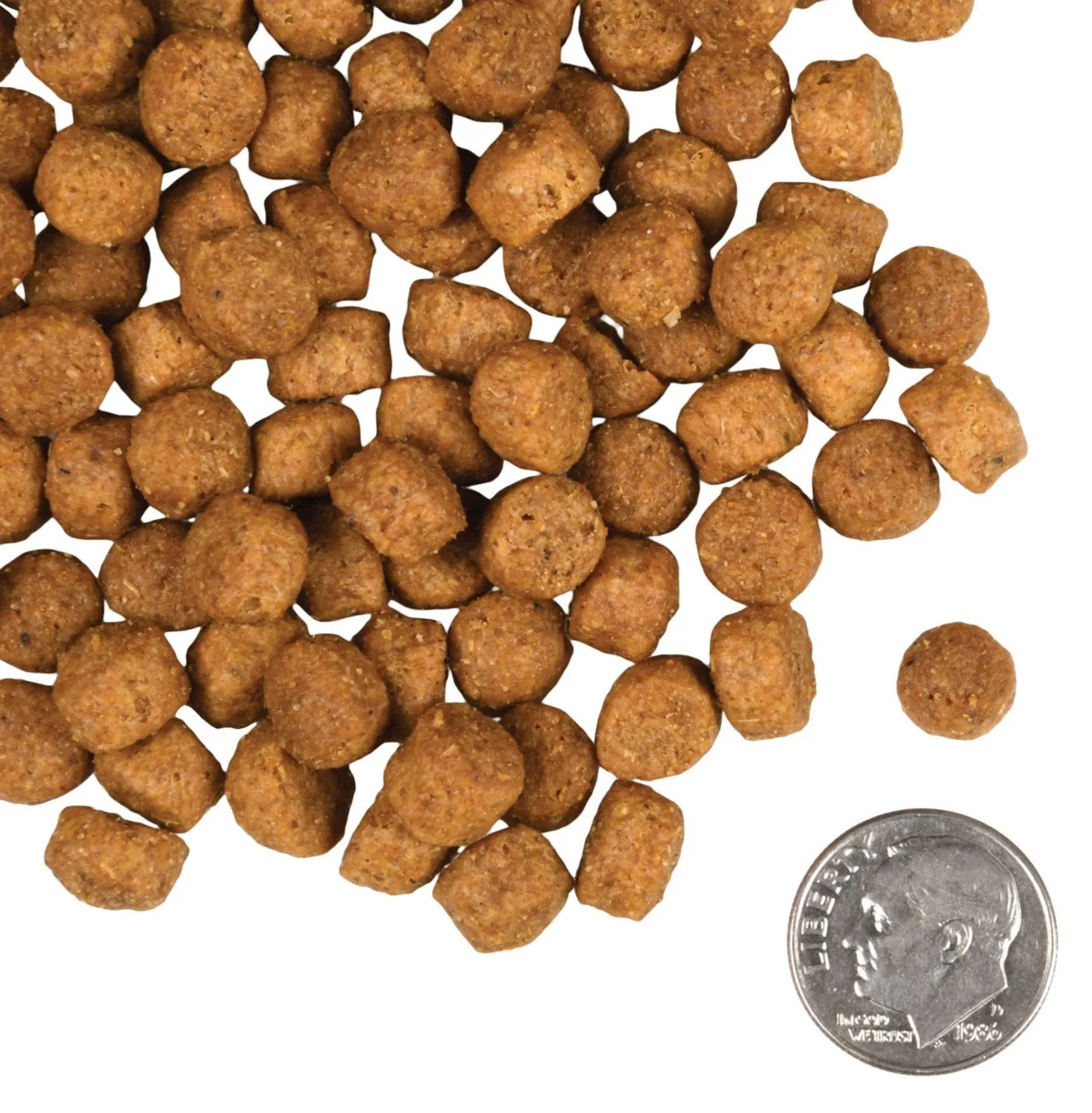 Fromm Large Breed Puppy Gold Dry Dog Food