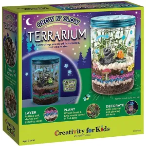 grow n' glow terrarium