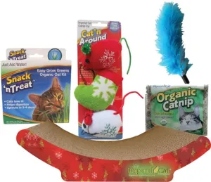 Holiday Kitten Kit with Scratcher