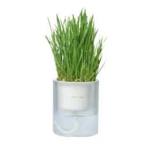 Michu All-in-One Soil-Free Cat Grass Grow Kit