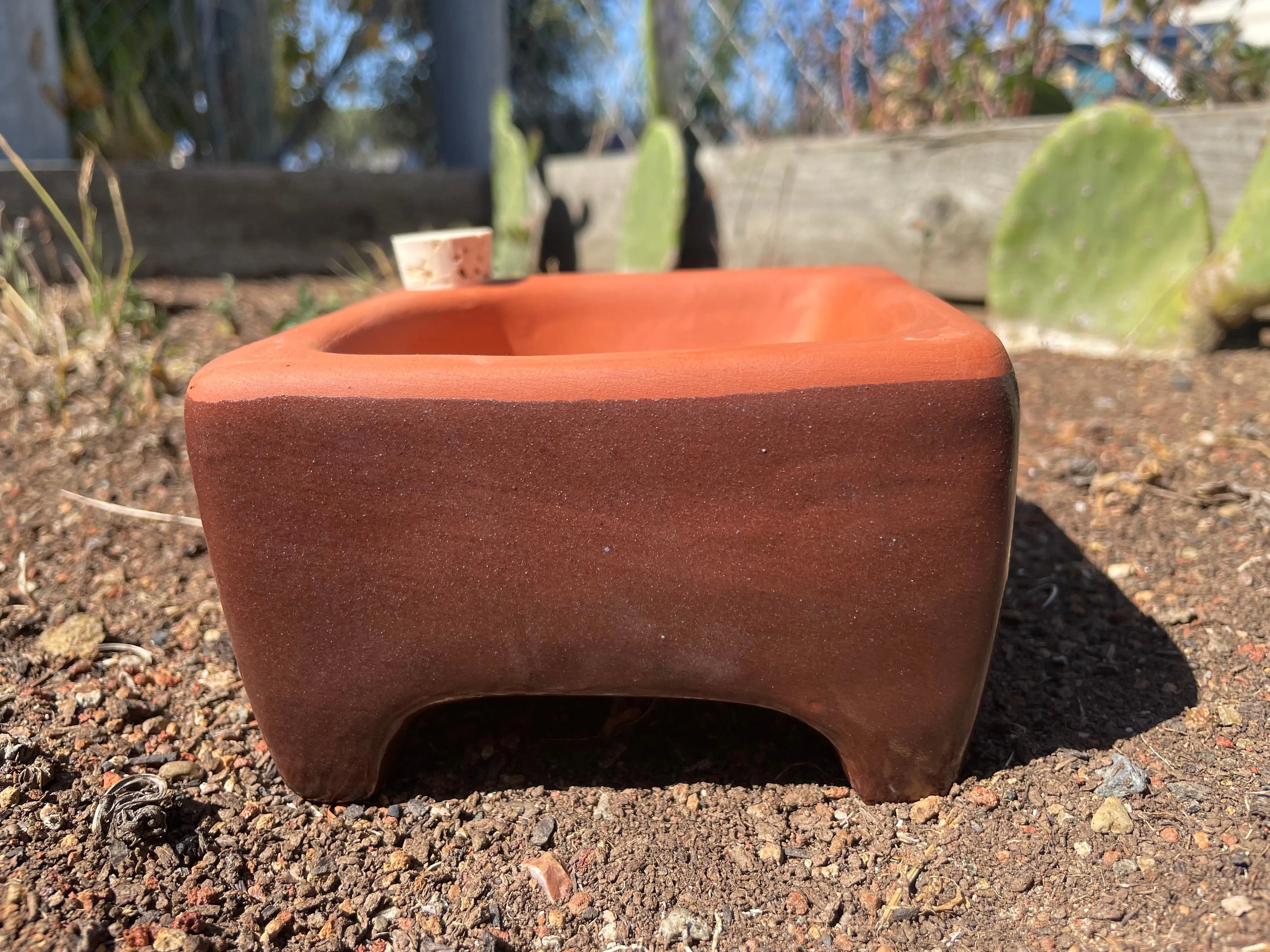 Microgreen Kit, Zero Waste and Self Watering