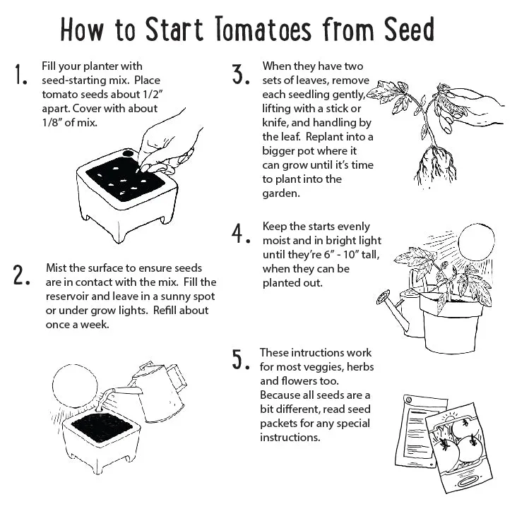 Microgreen Kit, Zero Waste and Self Watering