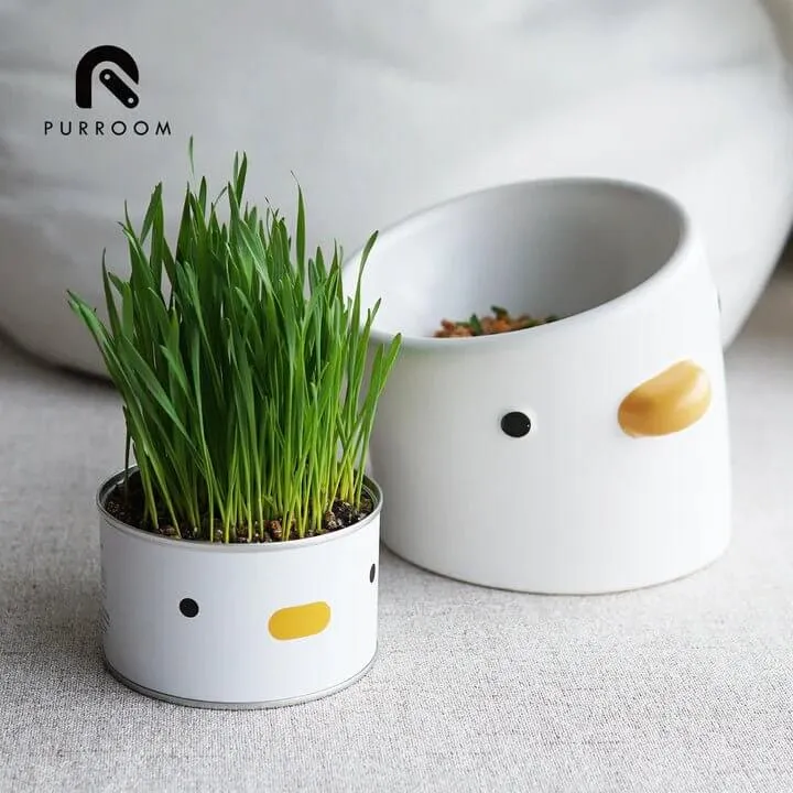 PURROOM Cat Grass - Chick