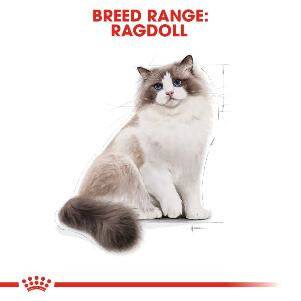 Royal Canin Ragdoll