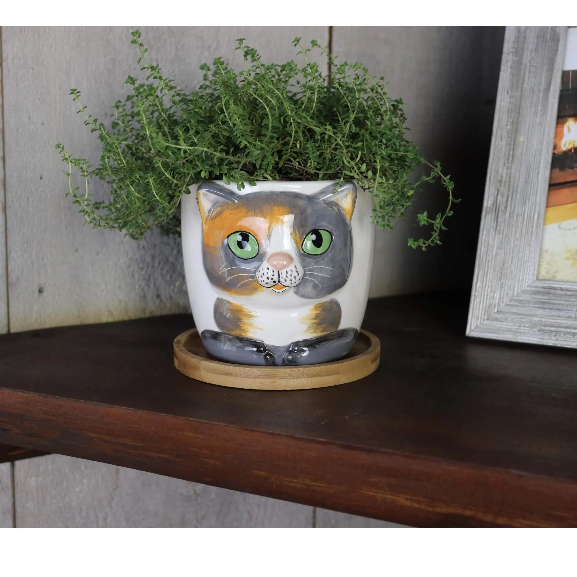 Window Garden - Cat Grass Growing Kit with Kitty Pot Planter - Purrfect for Cat and Pet