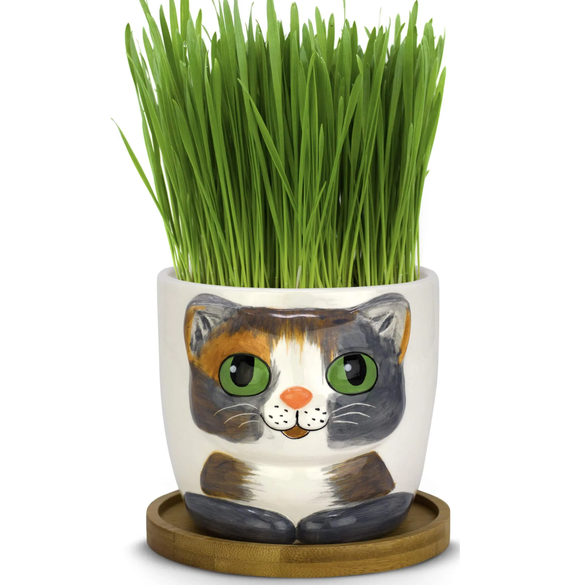 Window Garden - Cat Grass Growing Kit with Kitty Pot Planter - Purrfect for Cat and Pet